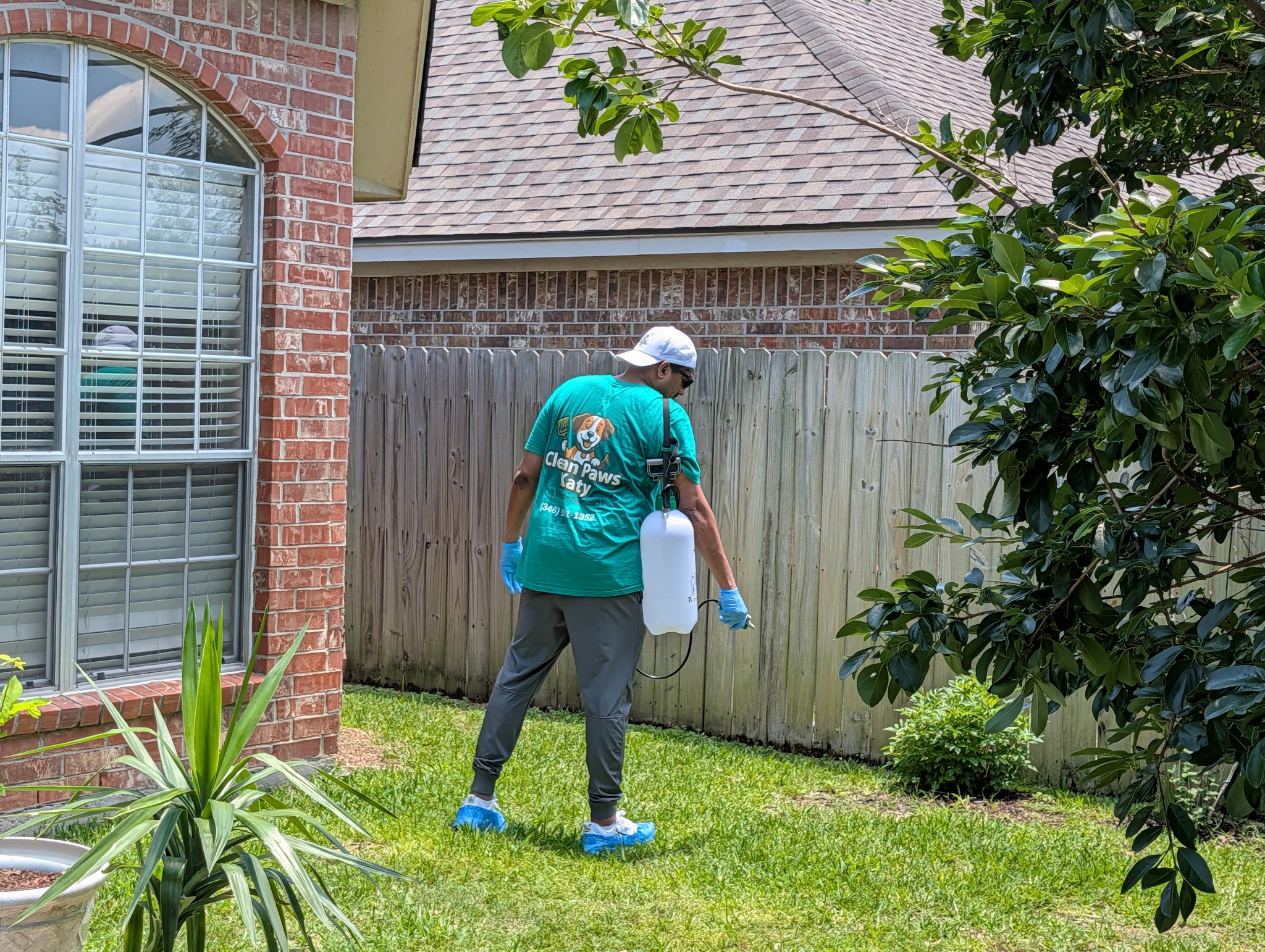 Clean Paws Katy pet waste removal service in action