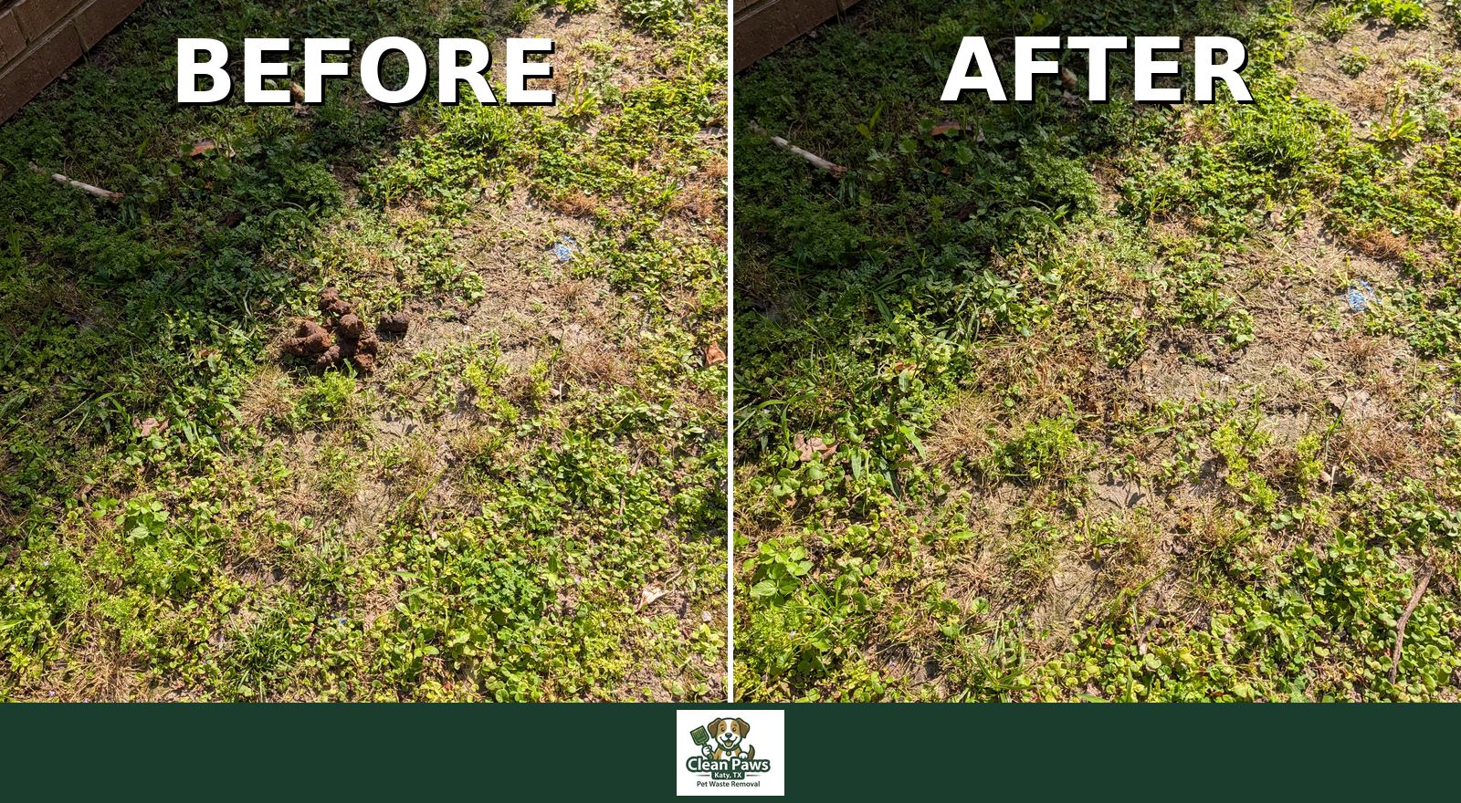 Before and After Pet Waste Removal — Katy backyard
