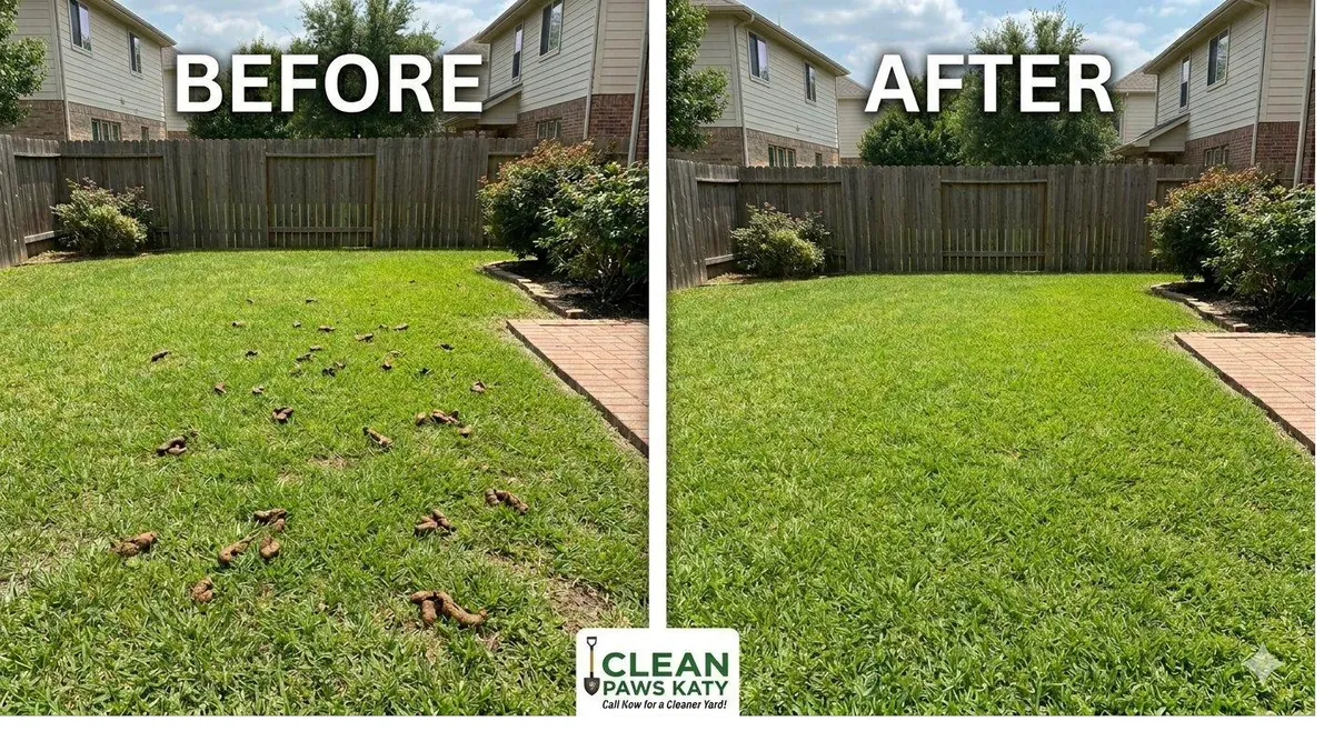 Before and After Pet Waste Removal — Katy backyard transformed by Clean Paws Katy