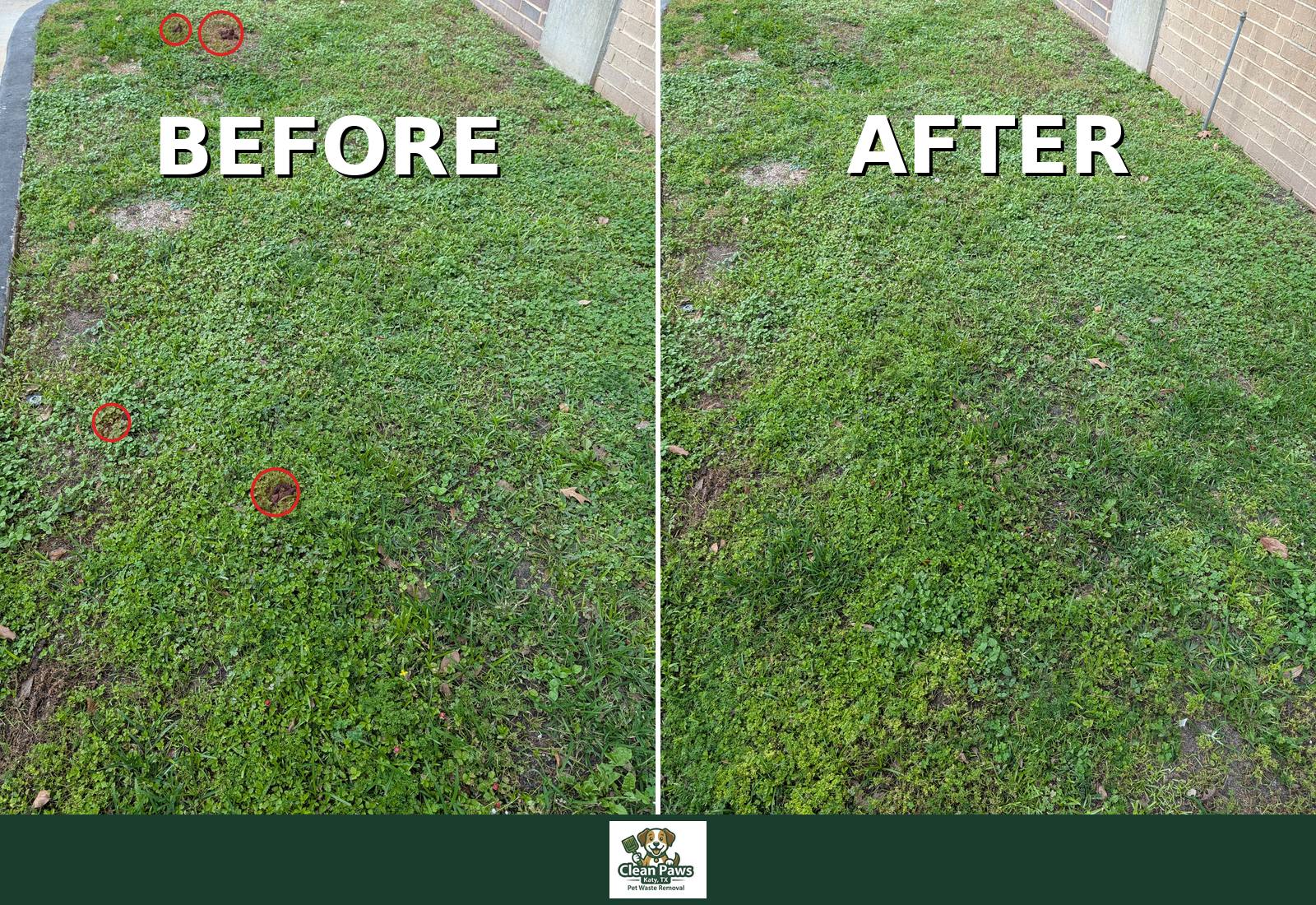 Before and After Pet Waste Removal — multiple piles found and cleared